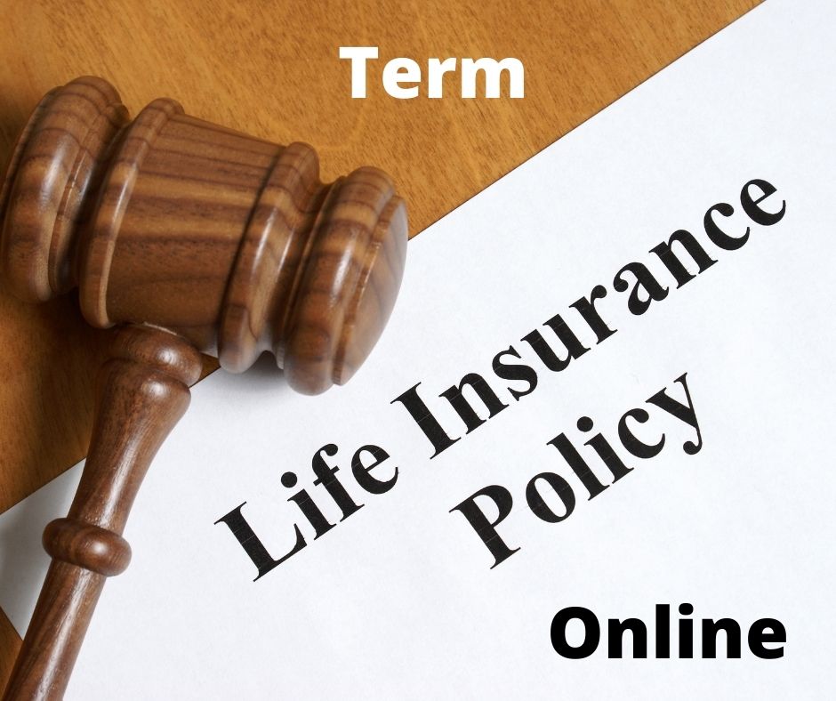 Term life insurance cost