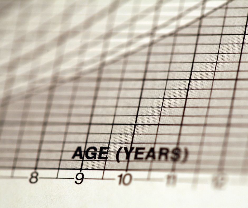 Term life insurance quotes 